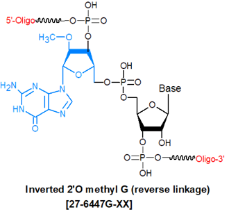 picture of Inverted 2'O methyl G (reverse linkage)
